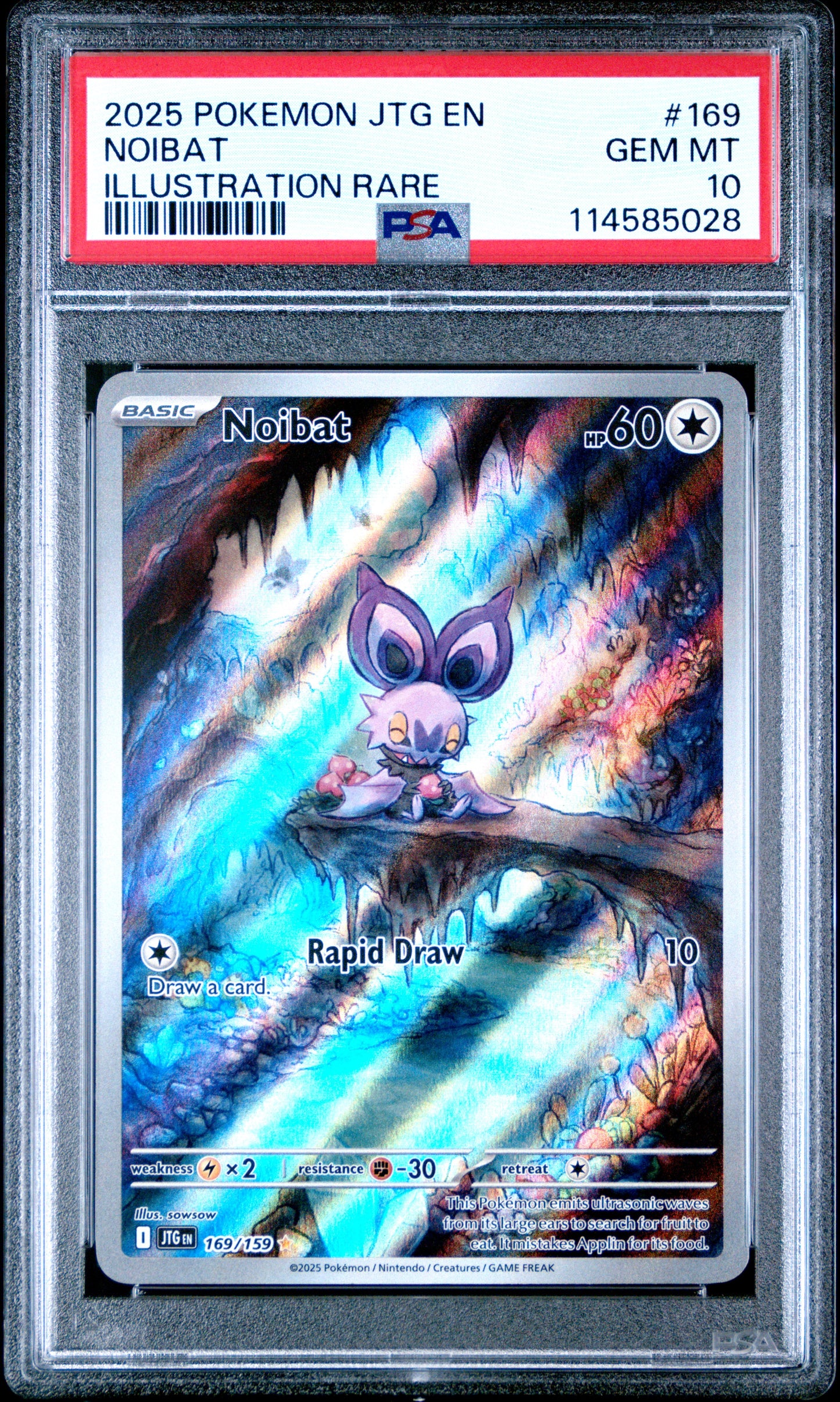 Singles Graded - 2025 POKEMON JTG EN-JOURNEY TOGETHER #169 NOIBAT ILLUSTRATION RARE!